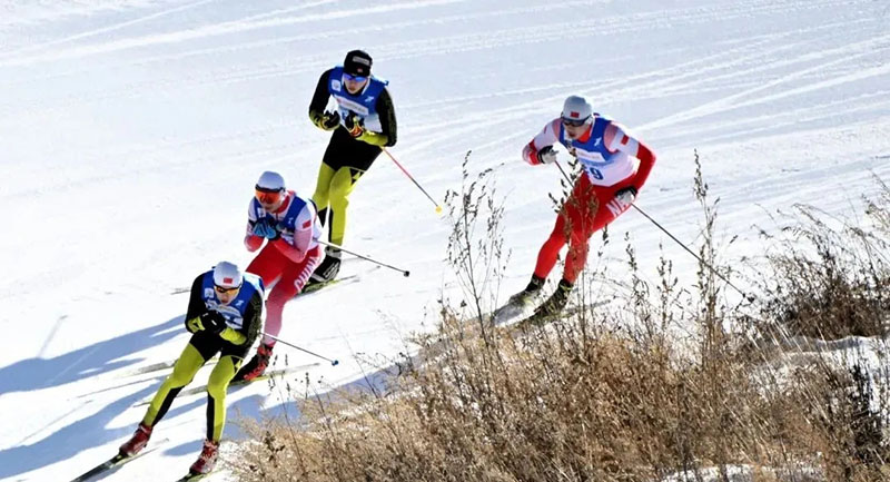 北京冬奧會有哪些項目？在哪些場館進(jìn)行？
