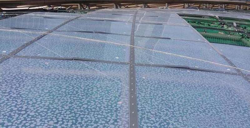 ETFE膜結(jié)構(gòu)有哪些種類？ETFE膜結(jié)構(gòu)是如何分類的？