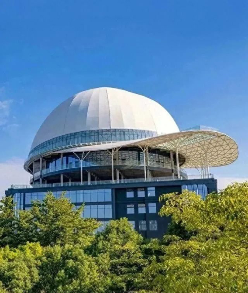 奇葩，好大一頂帽子