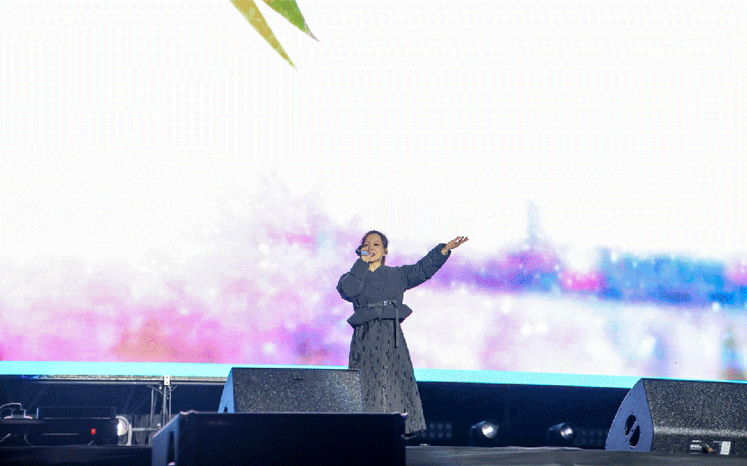 平陽體育中心群星演唱會！超萬人圍觀，現(xiàn)場火爆High唱！