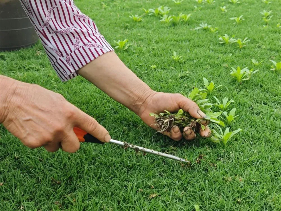 萬(wàn)豪集團(tuán)匠心助力，6月齊聚重慶龍興足球場(chǎng)為國(guó)足吶喊助威！