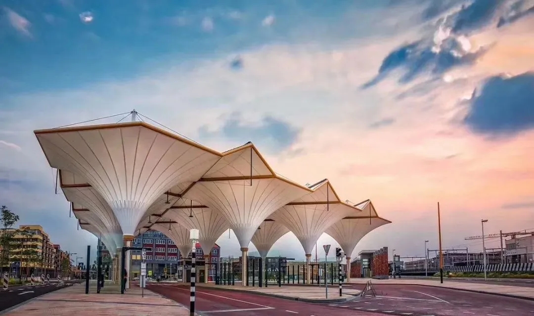 “棚”和“篷”，怎么區(qū)分？